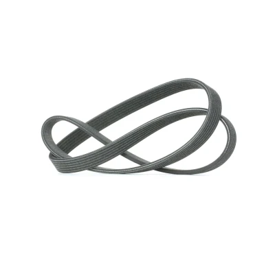 Immagine di DAYCO 6DPK1215 Cinghia Poly V 1215,0 6 VOLKSWAGEN: Caddy 3, Sharan I, Transporter 5 Bus, SEAT: Alhambra I