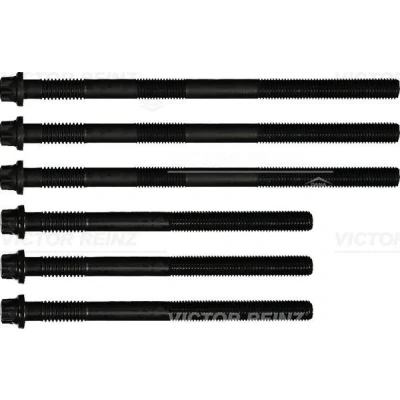 Immagine di REINZ 14 32918 01 Kit Bulloni Testata Torx esterno