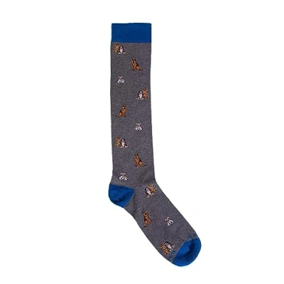 Immagine di Gallo LONG WITH DOG Motif Calze, Uomo, Taglia: One Size, Ferro