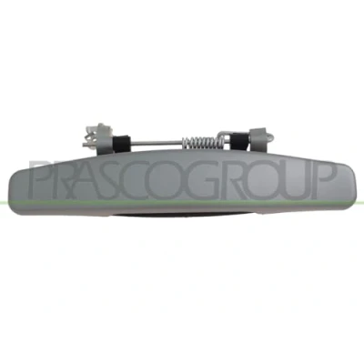 Immagine di PRASCO DA2208208 Maniglia Apriporta Esterno, posteriore Sx, anteriore Sx argento DACIA: Duster SUV, Sandero I