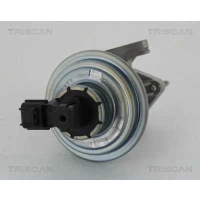 Immagine di TRISCAN 8813 16045 Valvola EGR con comando a depressione senza guarnizioni FORD: Transit Mk5 Van, Tourneo, Bus