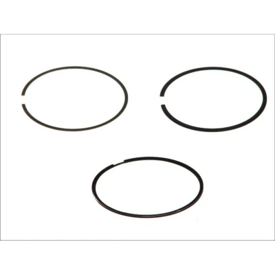 Immagine di GOETZE ENGINE 08 148300 00 Kit Fasce Elastiche 81 VOLKSWAGEN: Touran I, New Beetle Hatchback, Golf 4, AUDI: A3 Sportback, A4 B7 Avant, Hatchback