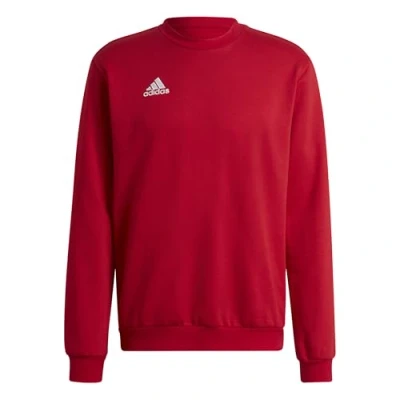 Immagine di adidas Performance Entrada Felpa, Uomo, Taglia: 3XL, Tepore