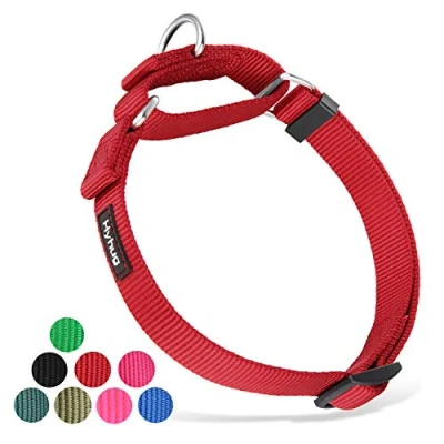 Immagine di Martingale Small Pup Boy e Girl Dog collar non resistenti alla fuga Walking Training Daily Use. (Piccola S, Rosso)