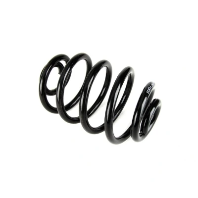 Immagine di Magnum Technology SR039MT Molle ammortizzatori Assale posteriore Molla ad elica RENAULT: CLIO 2