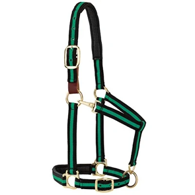 Immagine di Weaver Leather Capezza regolabile imbottita per mento e gola regolabile, 2,5 cm media a cavallo o annuo, righe verdi