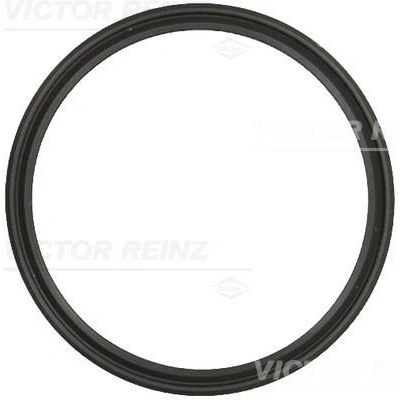 Immagine di REINZ 71 20033 00 Guarnizione Collettore Aspirazione FPM (Fluoro Caucciù)