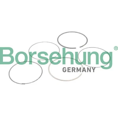 Immagine di Borsehung B10373 Kit Fasce Elastiche BMW: X3, 5 Sedan, Z4 Roadster
