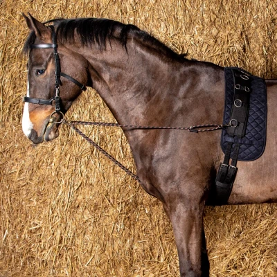 Immagine di Harry&#039;s Horse Lunging cord V line (coppia) One Size Nero