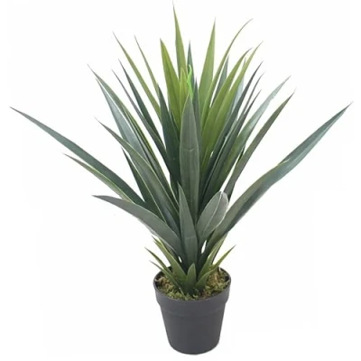 Immagine di Leaf 7170 Agave artificiale in stile Yukka, 60 cm, colore: Verde