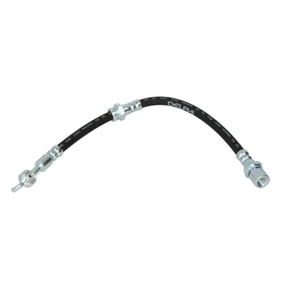 Immagine di DELPHI LH6746 Tubi Freno 407 M10x1 Int SF