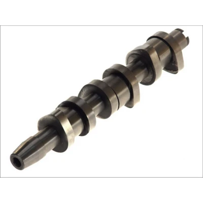 Immagine di AE CAM673 Albero a Camme VOLKSWAGEN: Polo IV Hatchback, AUDI: A2