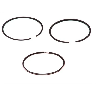 Immagine di GOETZE ENGINE 08 421000 00 Kit Fasce Elastiche 81 VOLKSWAGEN: Crafter 30 35 Bus, Multivan 5 (7HM, Transporter