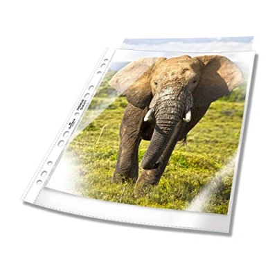 Immagine di Durable Busta Perforata A4 Extra Large, 240 x 310 mm, 90 Trasparente, 50 Pezzi