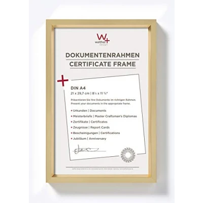 Immagine di walther designCornice per quadri oro 21 x 29,7 cm (DIN A4) con passe partout, cornice in plastica Steel Style ES130G