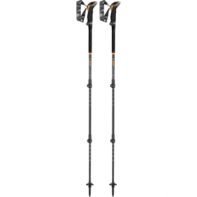Immagine di Leki Sherpa Lite Hiking poles