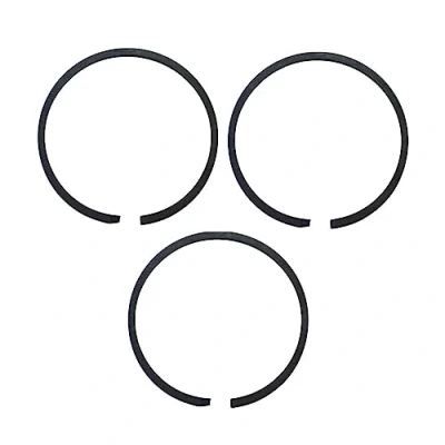 Immagine di cyclingcolors Fasce Elastiche per Solex 2200/3800/5000, 39.5mm, Set di 3