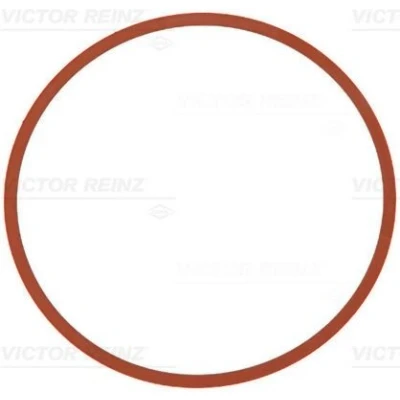 Immagine di REINZ 71 11403 00 Guarnizione Collettore Aspirazione FPM (Fluoro Caucciù) BMW: 1 Hatchback, 3 Touring, 2 Coupe, MINI: Clubman