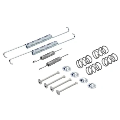 Immagine di DELPHI LY1001 Kit accessori, Ganasce freno