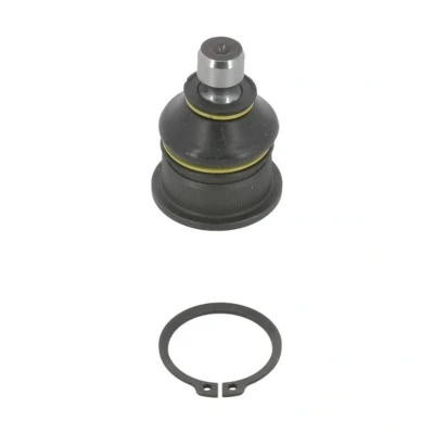 Immagine di MOOG RE BJ 2094 Testina braccio oscillante bilaterale, inferiore, Assale anteriore 16 38,3 RENAULT: MEGANE 2