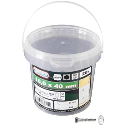 Immagine di Connex B30161 Viti per legno a testa esagonale, con contenitore, 20 pezzi, 10 x 40 mm
