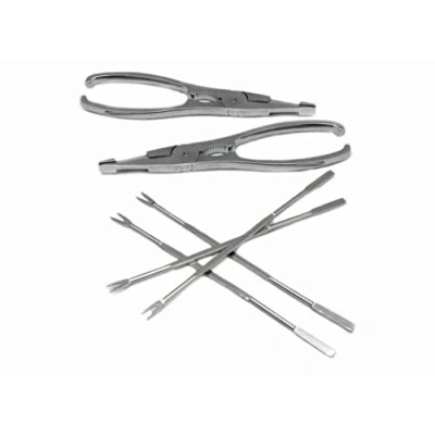Immagine di NERTHUS FIH 384 set di utensili per crostacei, Acciaio inossidabile, argento