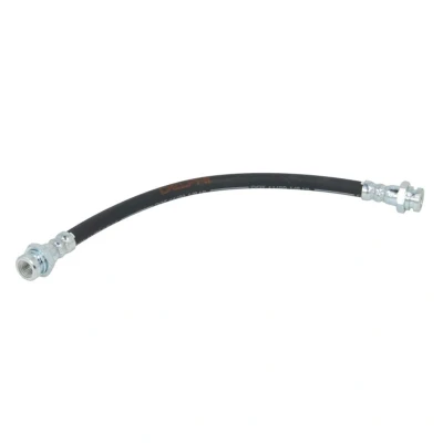 Immagine di DELPHI LH7190 Tubi Freno 301 M10x1 INT DF SUZUKI: Alto VI