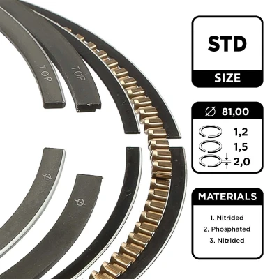 Immagine di ET ENGINETEAM R1005200 Kit Fasce Elastiche 81mm VOLKSWAGEN: Golf 3, 4, New Beetle Hatchback, AUDI: A4 B5 Avant