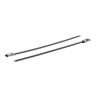 Immagine di HellermannTyton 111 00288 MBT5SFC SS316/SP BK Fascetta per cavi Nero con palla di chiusura, Stabilizzato ai raggi UV 1 pz.