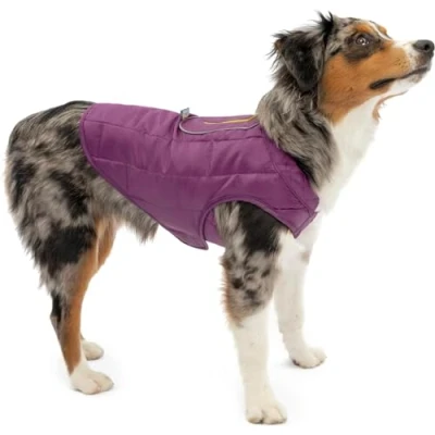 Immagine di Kurgo Loft Cappotto Reversibile per Cani, Impermeabile, Riflettente, Compatibile con Imbracatura, Viola/Gris, XS