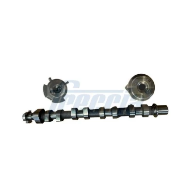 Immagine di FRECCIA CM05 2420 Albero a Camme Lato scarico RENAULT: Scénic IV, Kangoo II Express