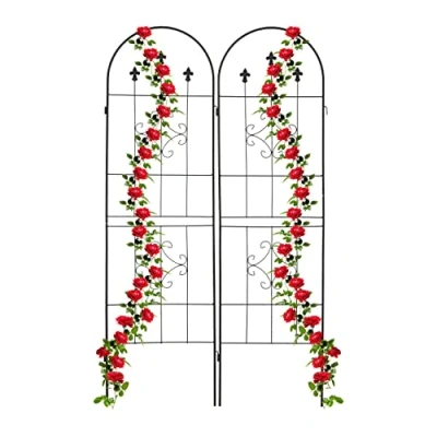 Immagine di Relaxdays Grigliati per Rampicanti, Set da 2, HxL 180 x 50 cm, Supporti in Metallo Piante, Tralicci a Incastro, Nero