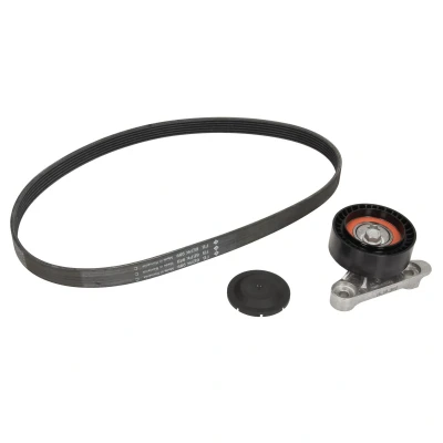 Immagine di INA 529 0160 10 Kit cinghie Poly V Controllare corsa libera generatore ed ev. sostituire, Attrezzi speciali necessari per montaggio