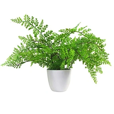 Immagine di Leaf Mini Pianta Artificiale con Vaso, Felce Reale, 30 cm
