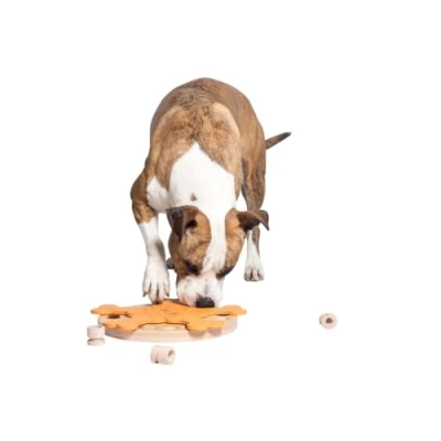 Immagine di My Intelligent Pets Carousel of Bones Giocattolo Intelligente per Cani Distributore di Dolcetti Interattivo Cuccioli, Giochi Attivazione Mentale Puzzle