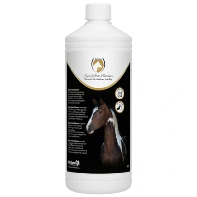 Immagine di Excellent Equi Saldo Totale 1 l Naturel