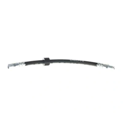 Immagine di DELPHI LH6101 Tubi Freno 285 M10x1 Int SF
