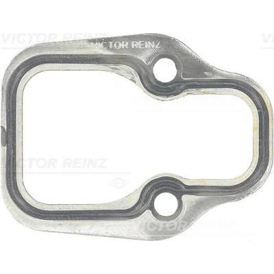 Immagine di REINZ 71 26069 20 Guarnizione Collettore Aspirazione