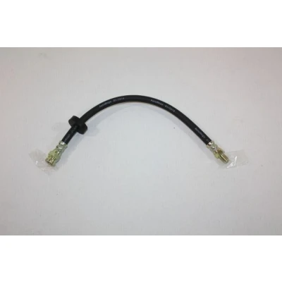 Immagine di AUTOMEGA 120060210 Tubi Freno Dx 310mm M10x1 con Filettatura esterna, interna, Filetto esterno, interna