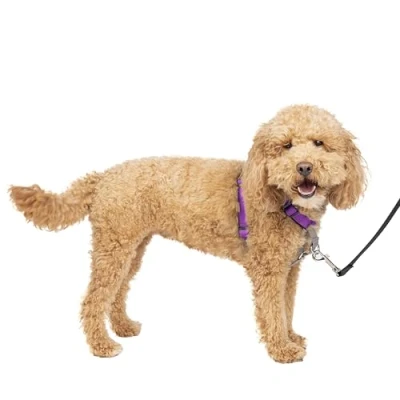 Immagine di PetSafe Pettorina per Cani 3 in 1, con Speciale componente Auto