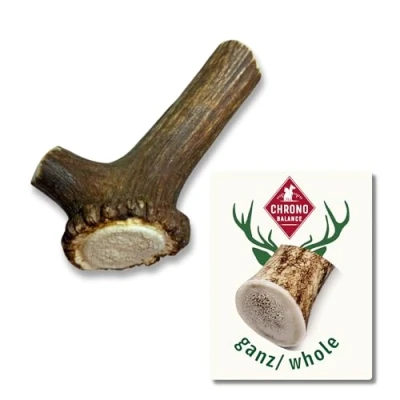 Immagine di ChronoBalance® (L) Corna di Cervo per Cani (Pezzi Interi) Bastoncino da Masticare Naturale, Osso Cervo, Giocattolo Lunga Durata, Cura dei Denti, Sostenibile e Sicuro, Snack Nutriente