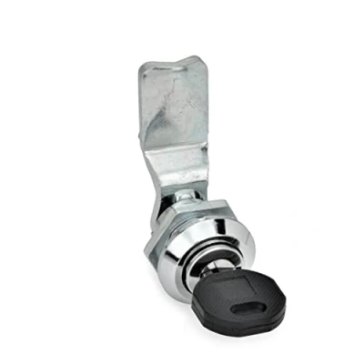 Immagine di Ganter Norm elementi GN 115 SC 24 Cilindro Serratura con chiave, 1 pezzi, nero, opaco