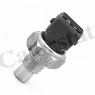 Immagine di CALORSTAT by Vernet WS3006 Sensore Temperatura Refrigerante CHEVROLET: Matiz, Spark, Aveo / Kalos Hatchback
