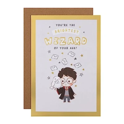 Immagine di Hallmark Biglietto di compleanno Harry Potter &amp; Hedwig Owl design con labirinto attività
