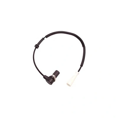 Immagine di DELPHI SS20215 Sensore ABS passivo 490