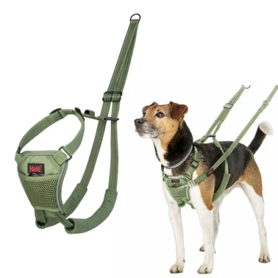 Immagine di Pettorina anti trazione HALTI per impedire al cane di tirare il guinzaglio, regolabile, leggera e semplice da utilizzare. addestramento cani piccoli (Taglia S, Verde Foresta)