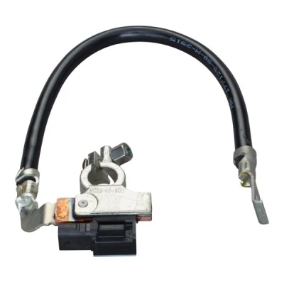 Immagine di HELLA 6PK 010 562 921 Sensore, Management batteria
