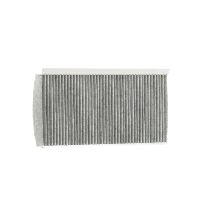 Immagine di DELPHI TSP0325296C Filtro abitacolo al carbone attivo 330 162 30 FIAT: Croma II Station Wagon, Punto Hatchback, Doblo I Wagon