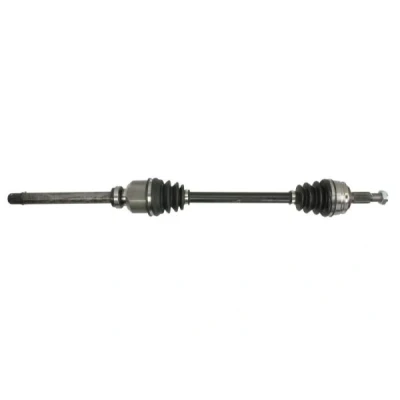 Immagine di Albero motore/Semiasse PASCAL G2P060PC