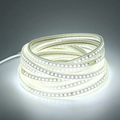 Immagine di pcning 6m Illuminazione Striscia LED AC 220 Volt per Esterno SMD 5730 IP67 Impermeabile Strip Lights 220V 6000K Bianco Freddo (Bianco Freddo, 6)
